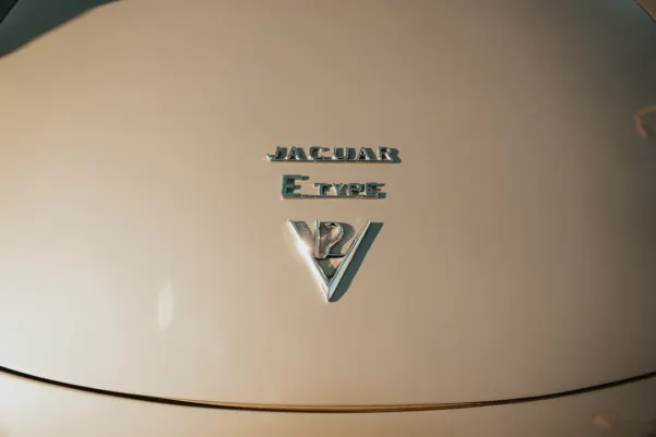 ホールドン スピン カジノ Android/iOS アプリ